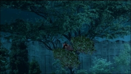 Parul - 10th July 2025